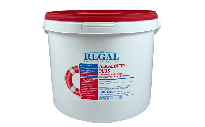 REGAL CHEMICALS 25 lbs Alkalinity Plus Pail