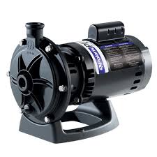 POLARIS PB4-60™ Booster Pump 0.75 HP 115/230V